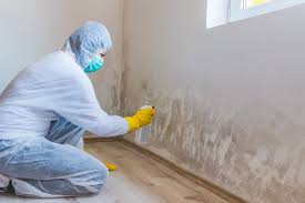 Jacksonwald, PA Mold Removal Company